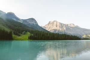 Home Waterzuiveringsproces: Het fysische, biologische, chemische en elektromagnetische zuiveringsproces voor drinkwater