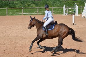 Home Manege in Zutphen paardencentrum met binnen- en buitenbak voor paardensport en rijlessen